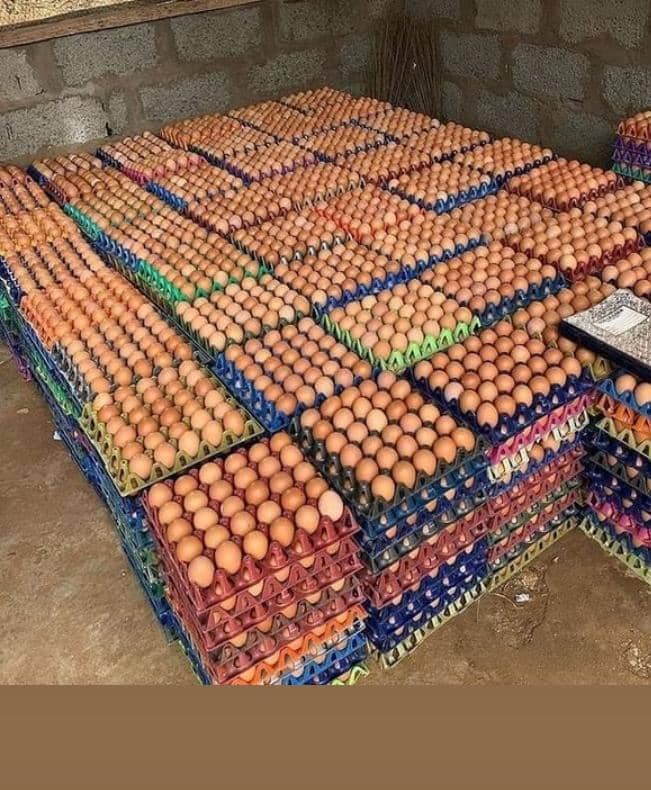 farm 1 farm 1