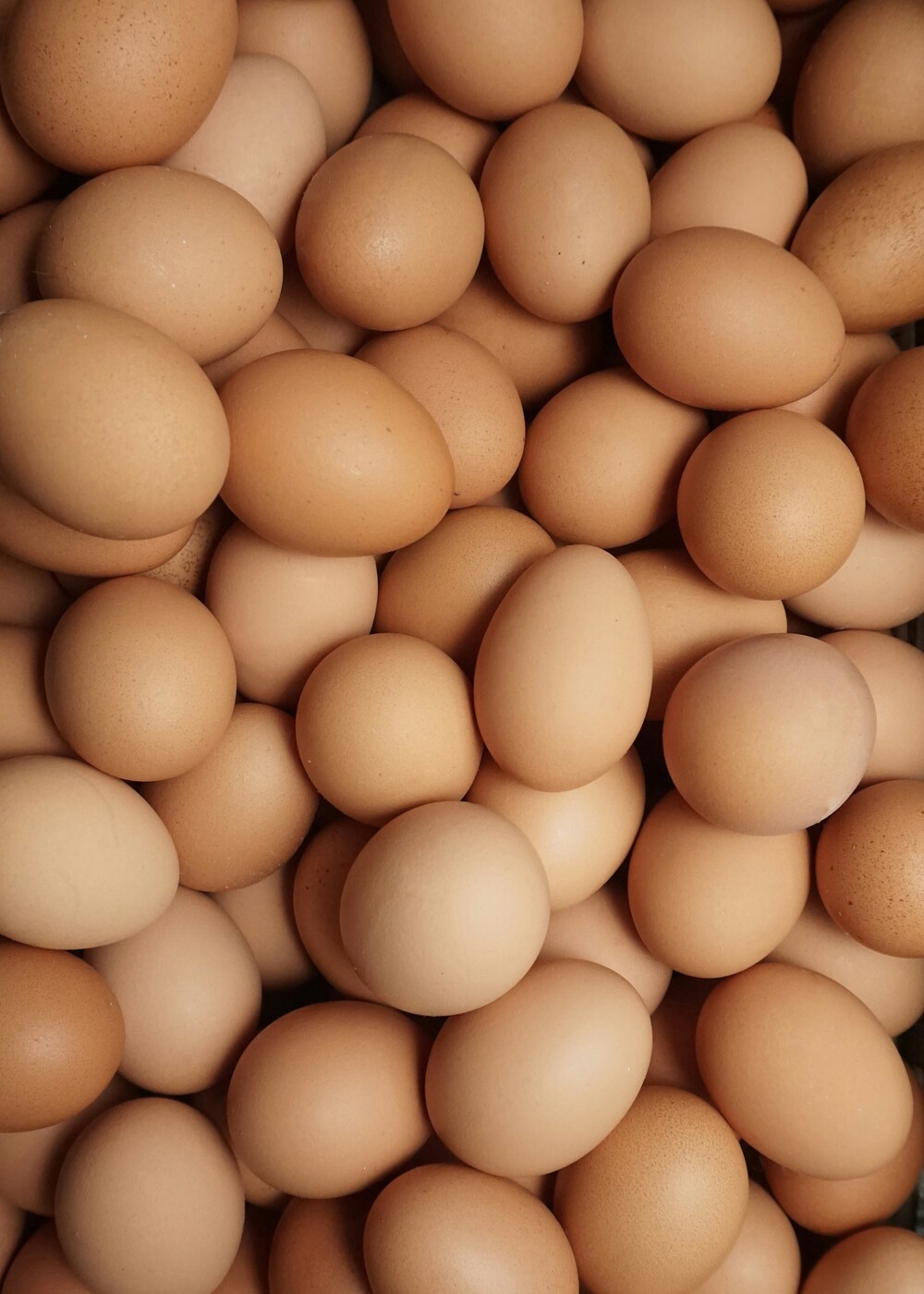 eggs-1