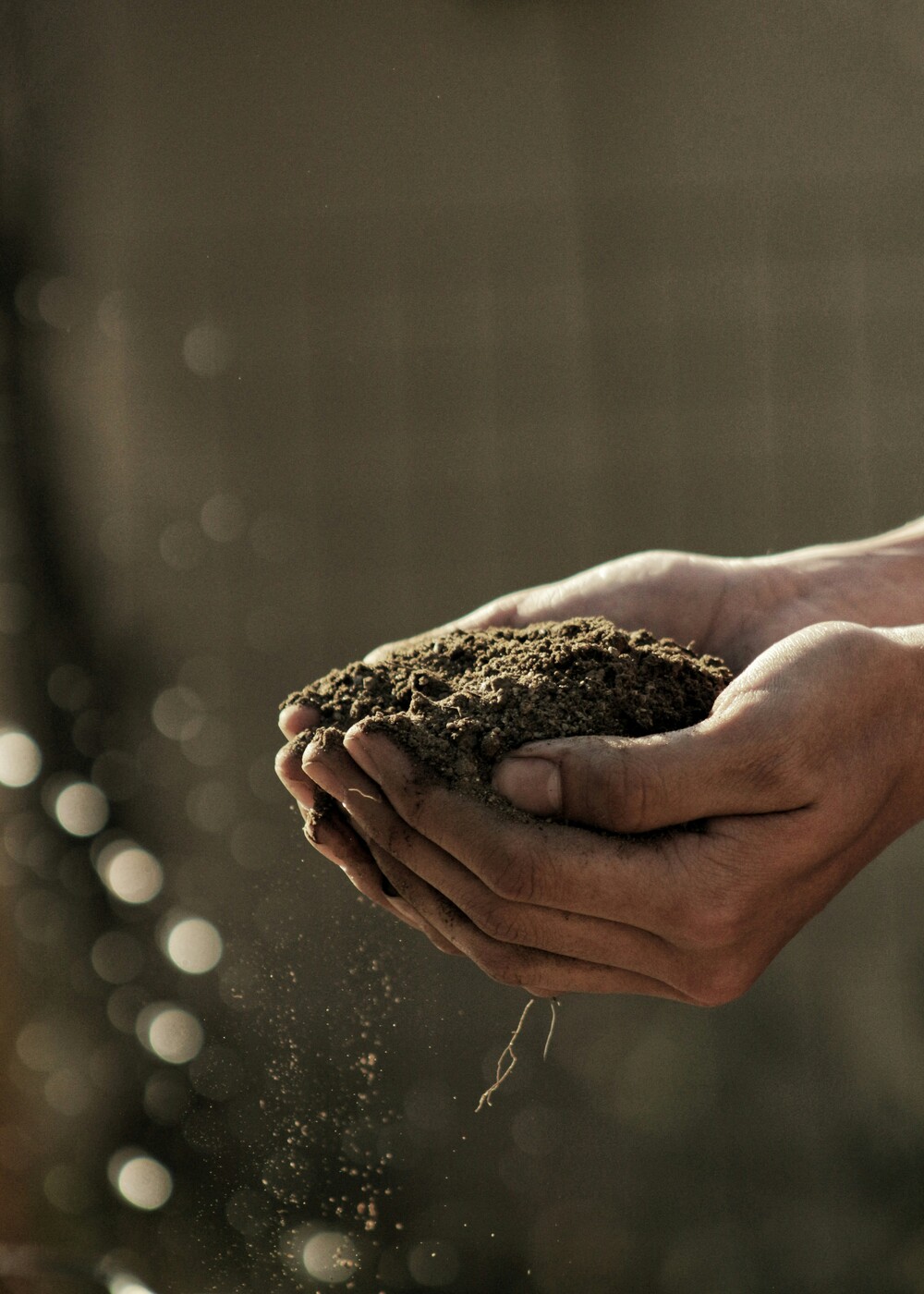 farm-hands