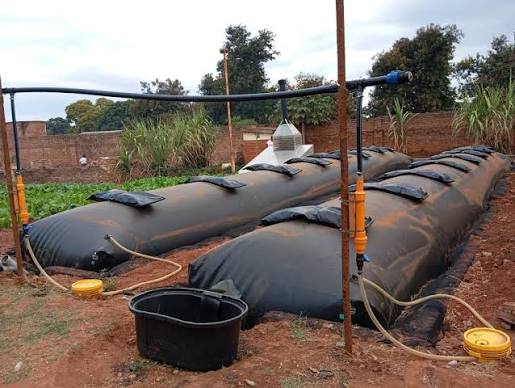 Biogas System