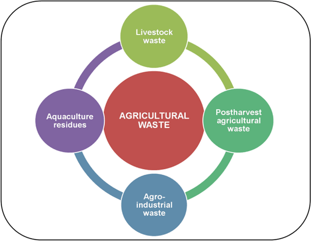 Waste Conversion System